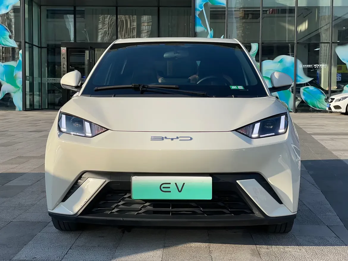 BYD seagull