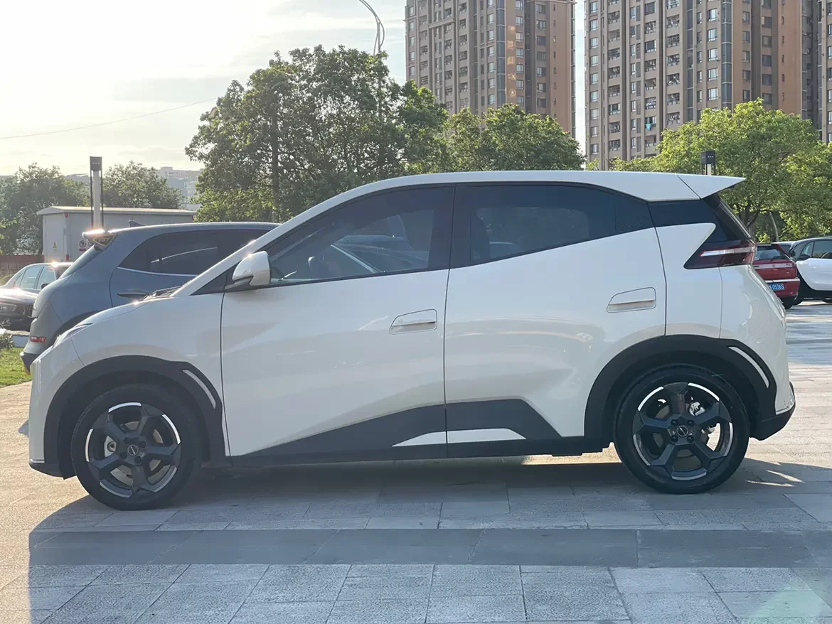 BYD seagull