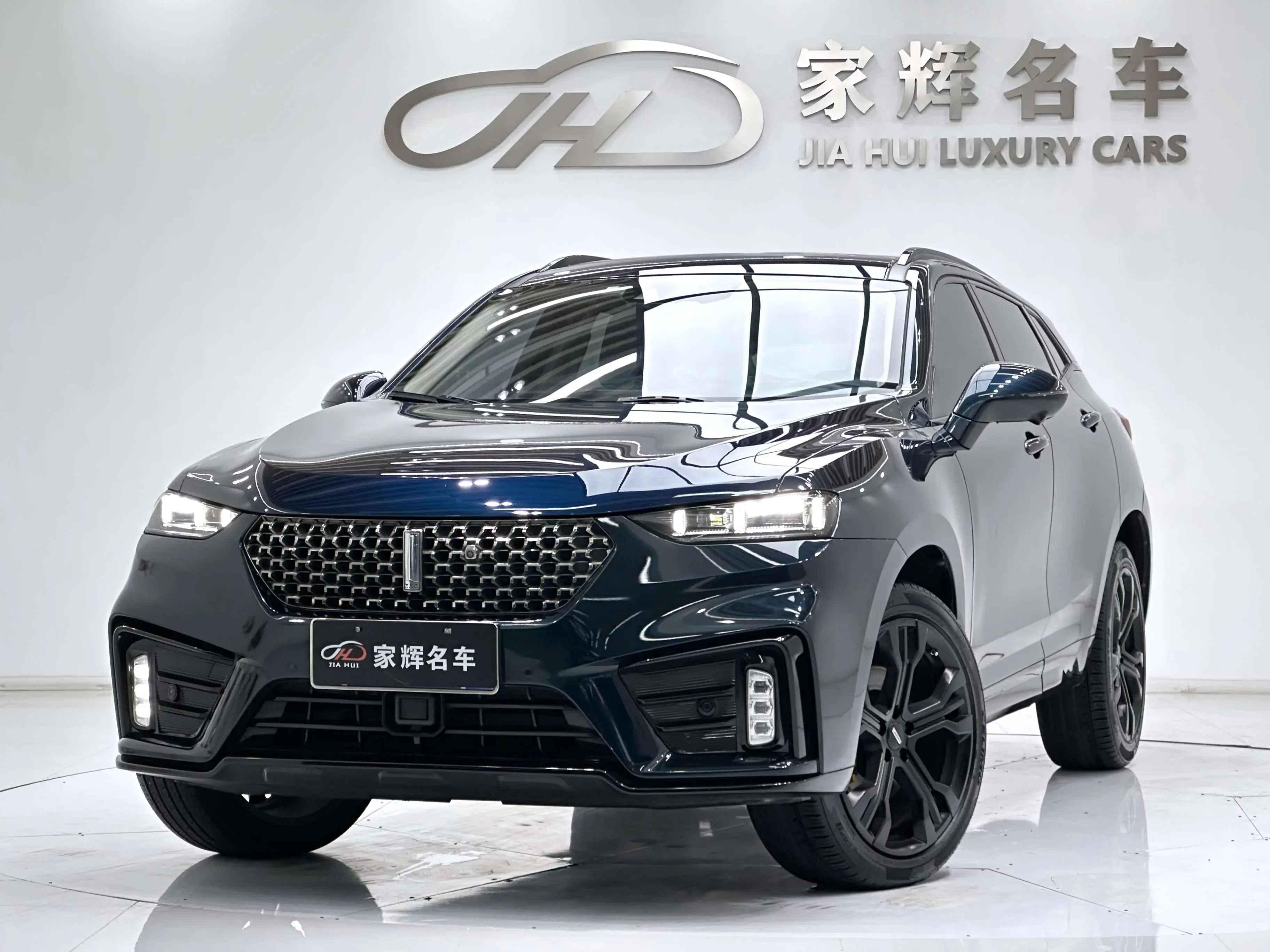Wey Wei brand VV7