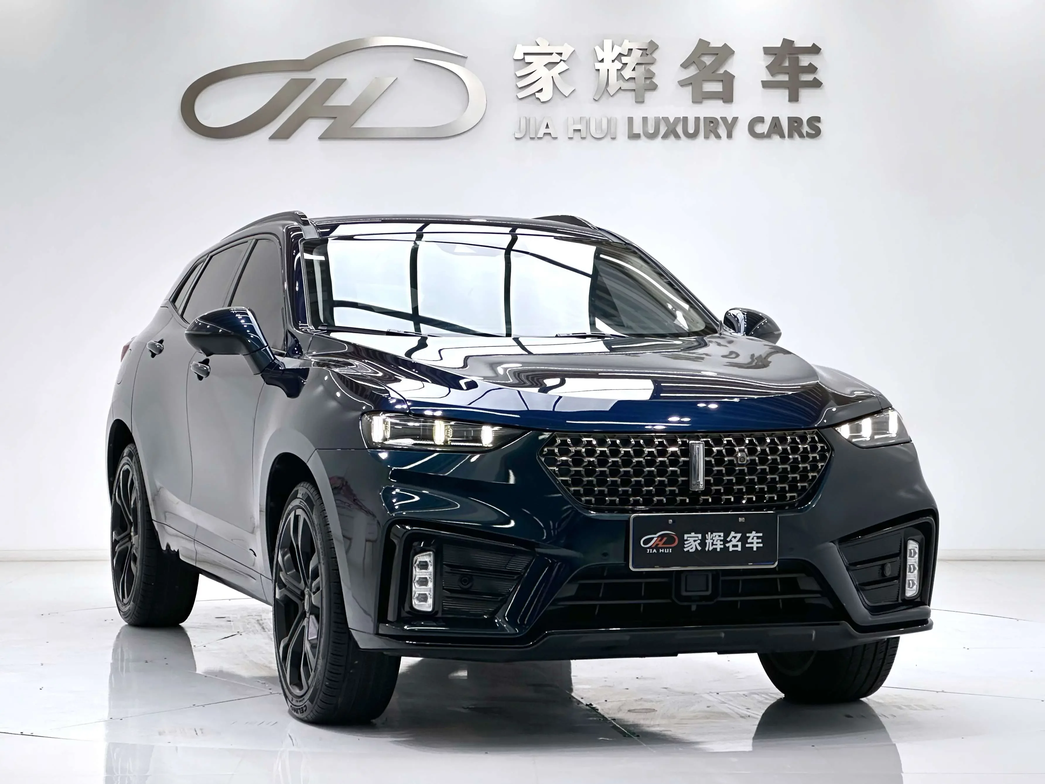 Wey Wei brand VV7