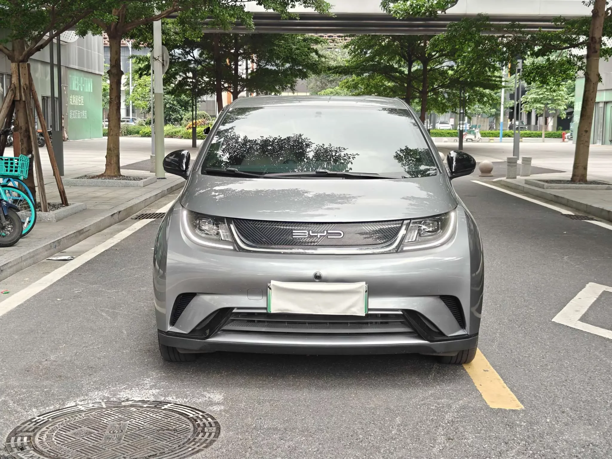 BYD dolphin