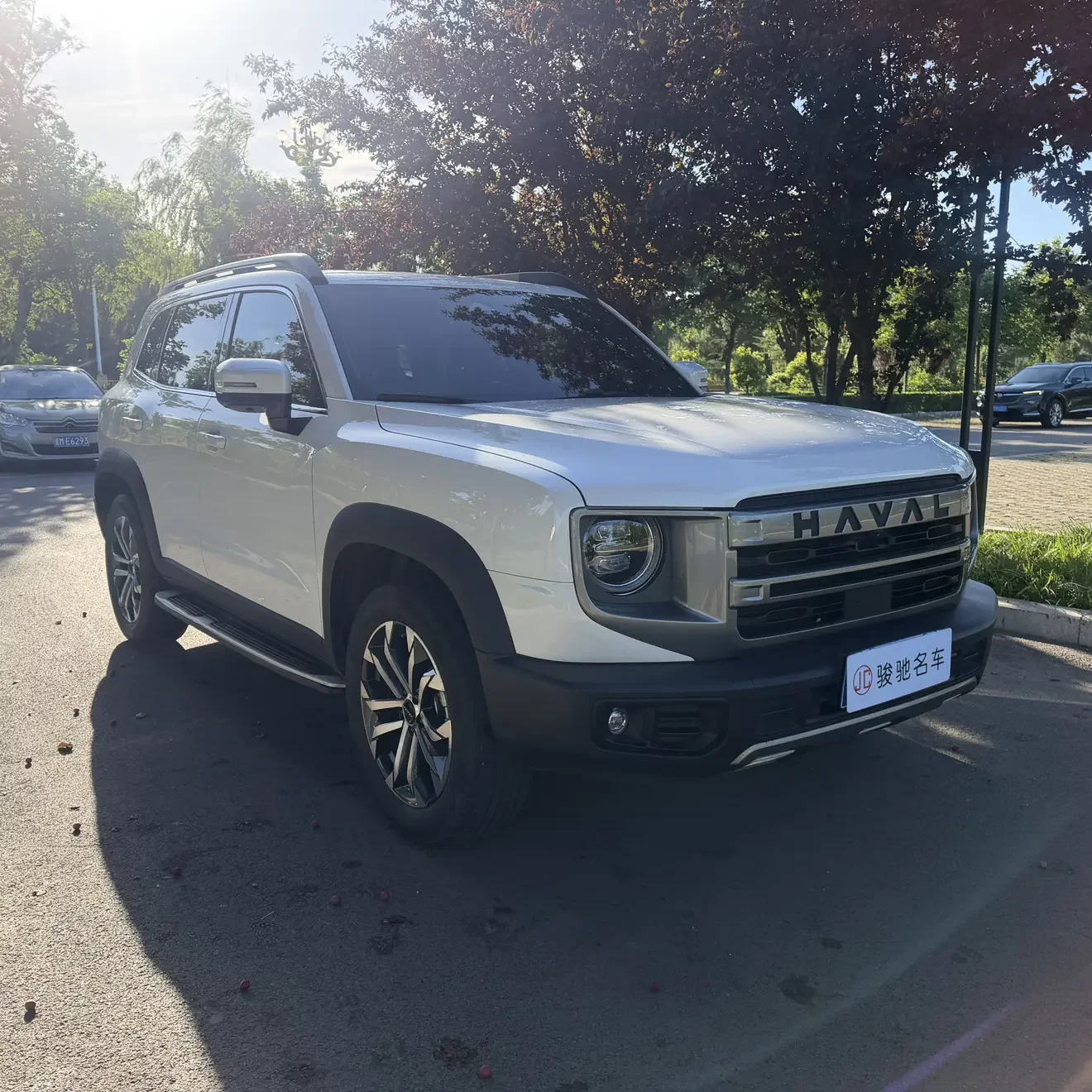 Haval Dargo