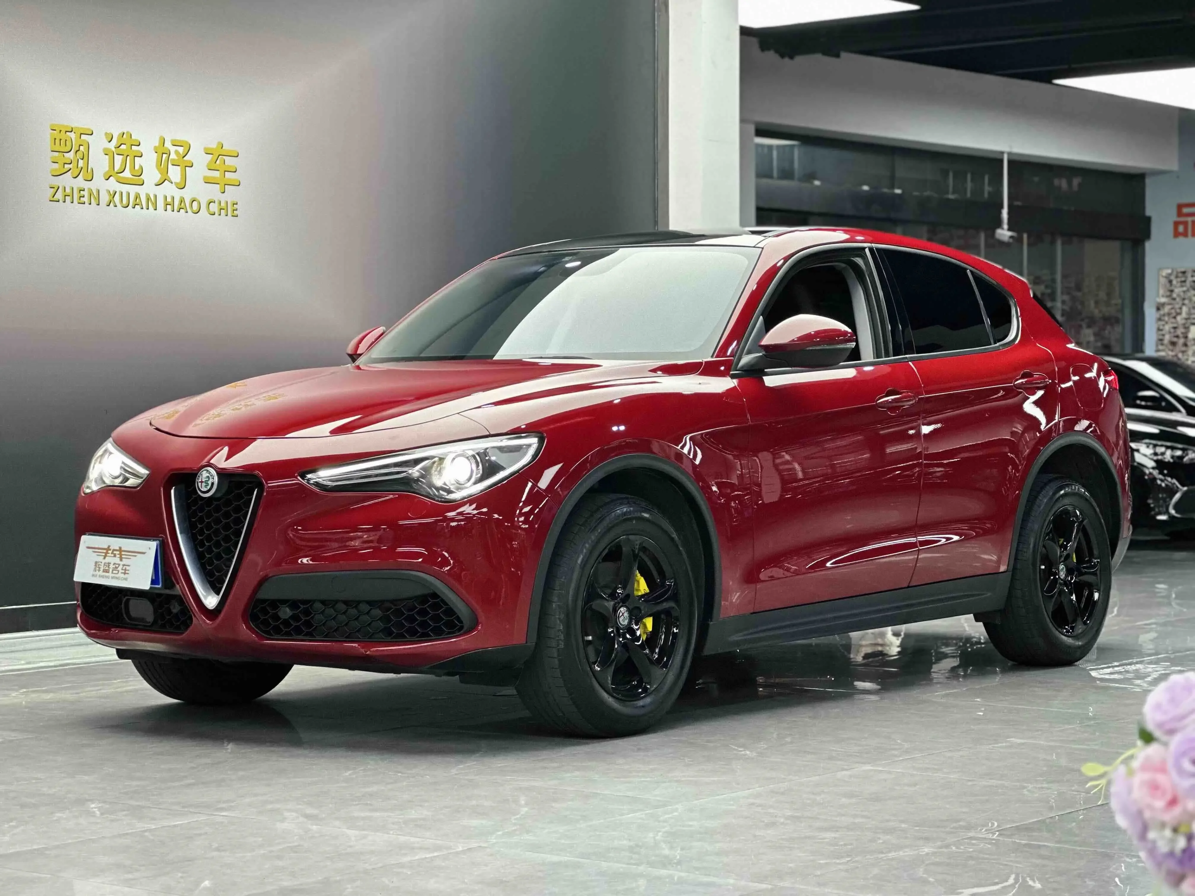 Alfa romeo Stelvio