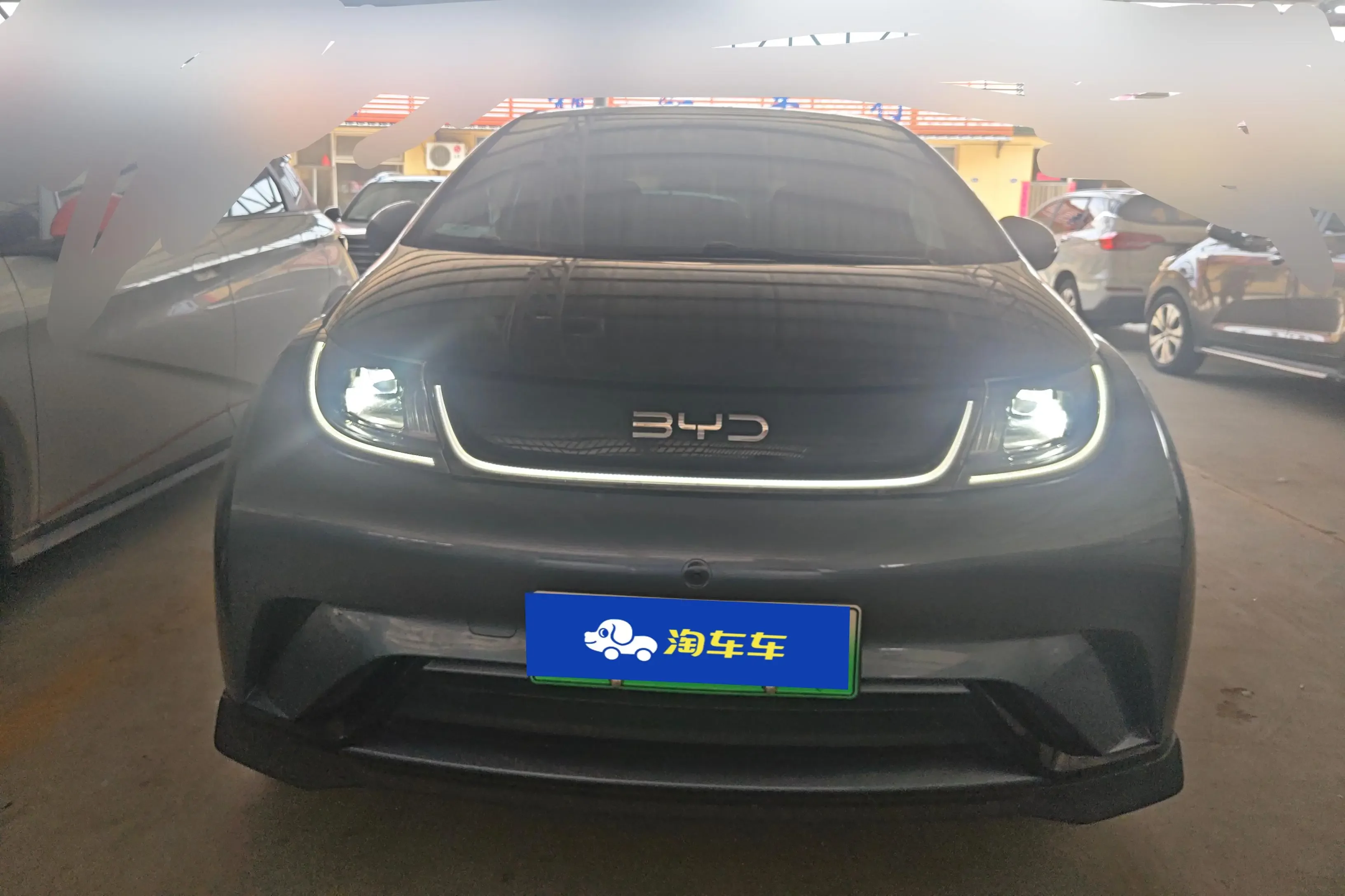 BYD dolphin