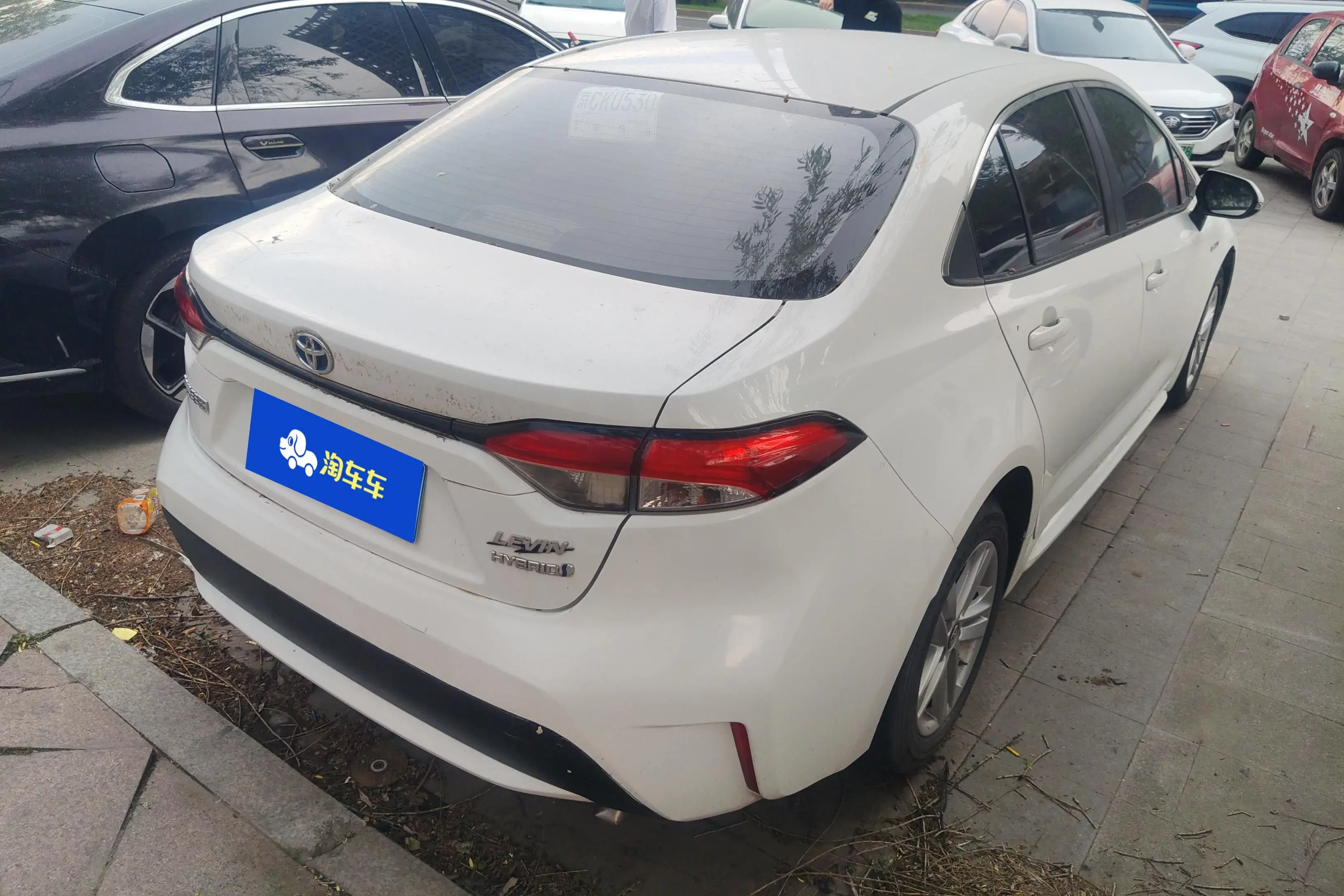 Toyota Levin