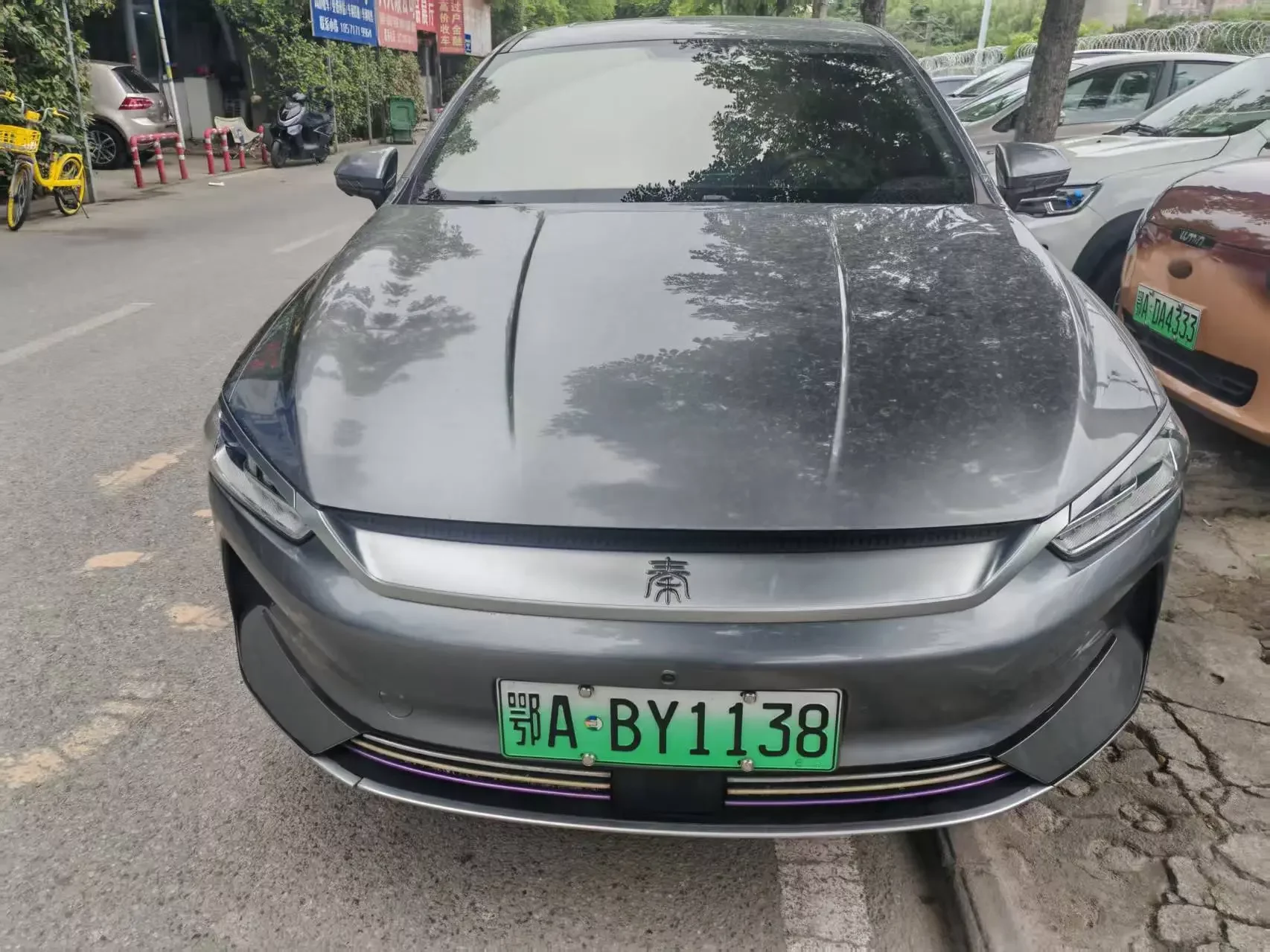 BYD Qin PLUS EV