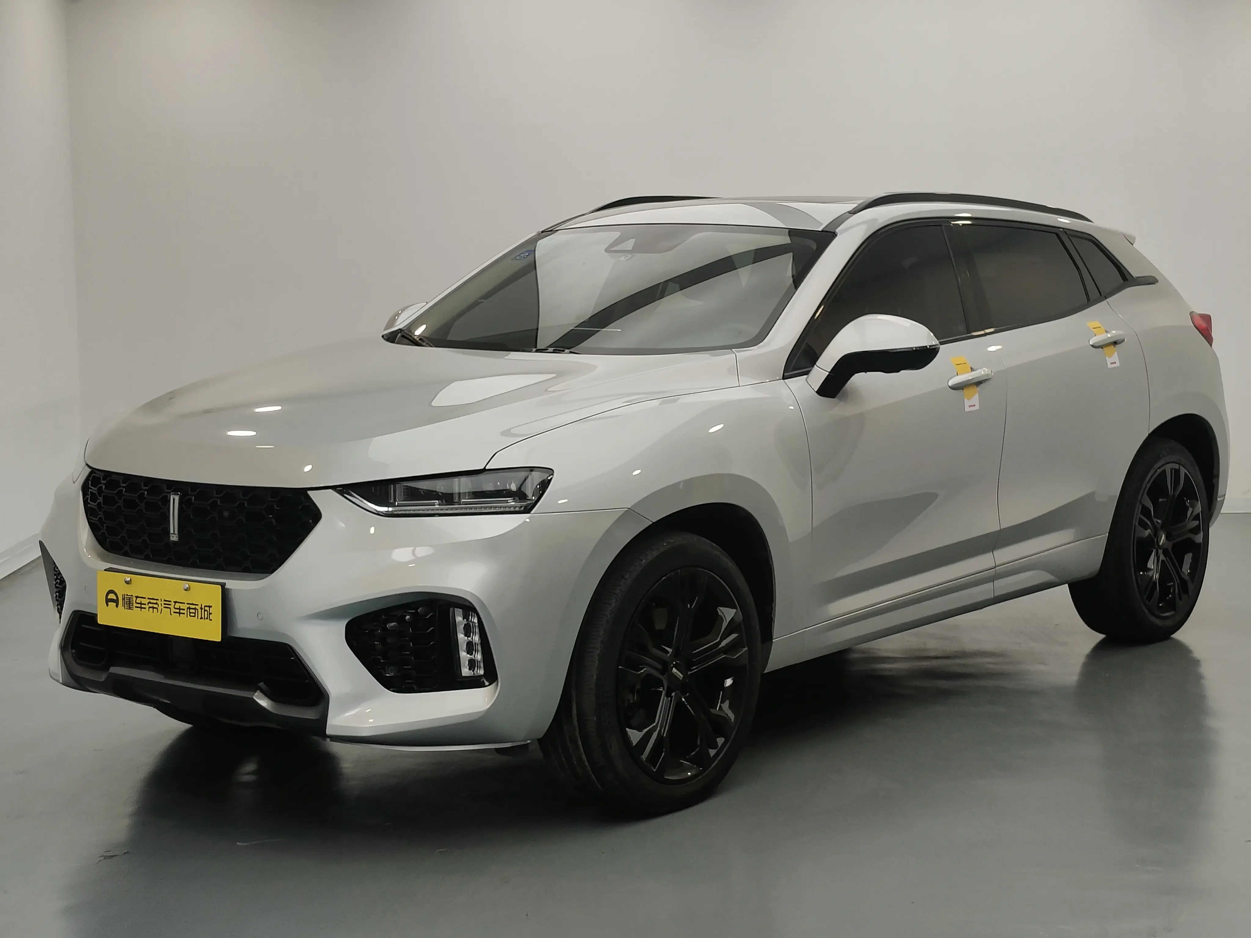 Wey Wei brand VV7