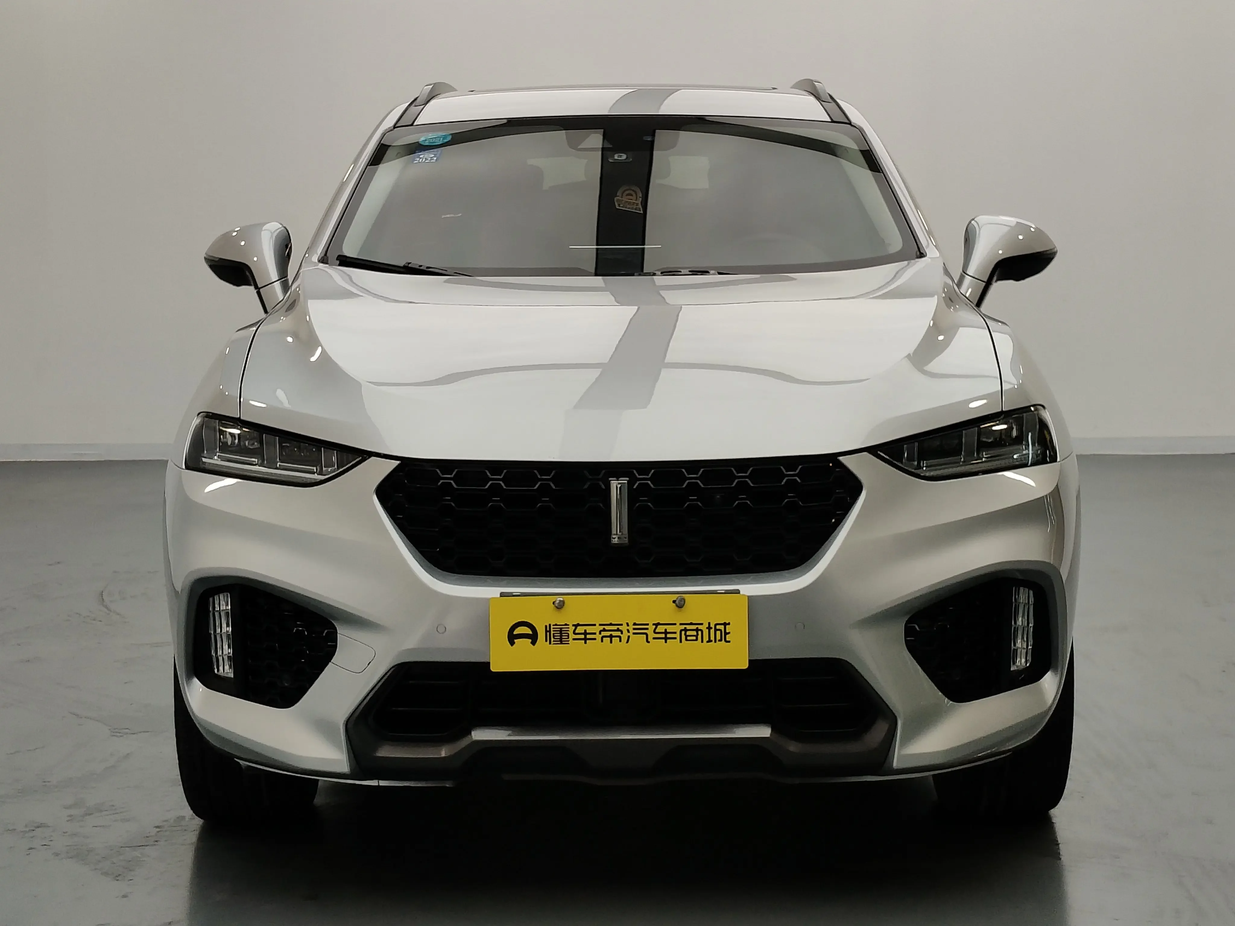 Wey Wei brand VV7