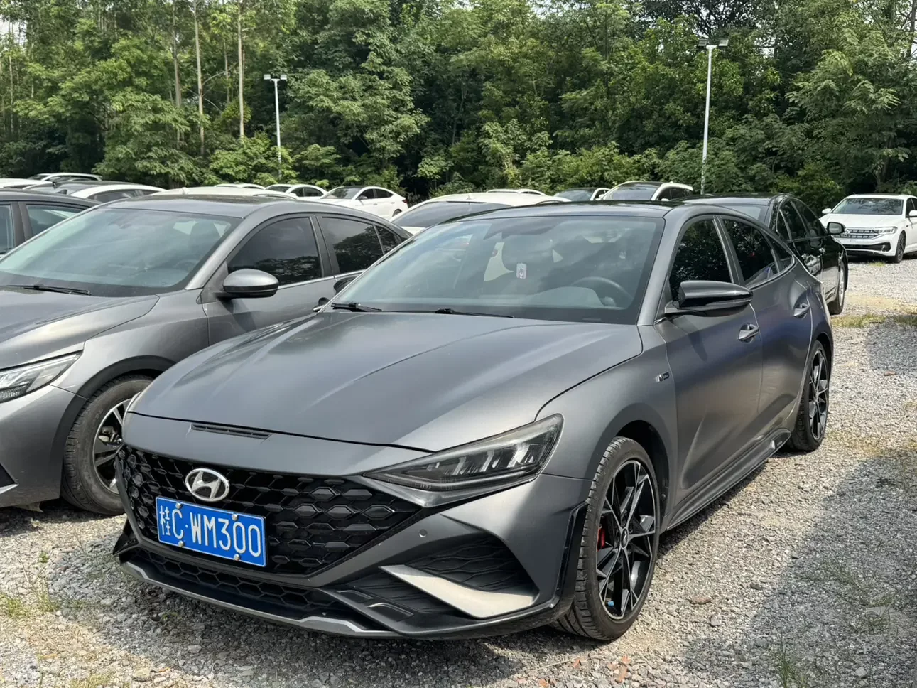 Hyundai Lafesta