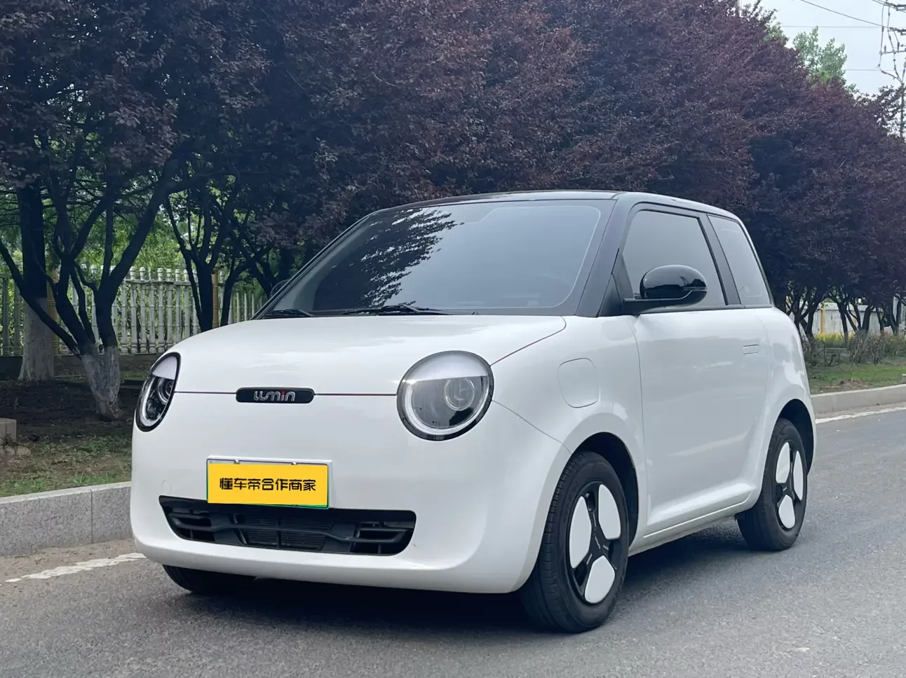 Changan Lumin