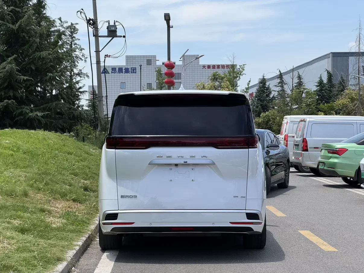 Denza D9 DM