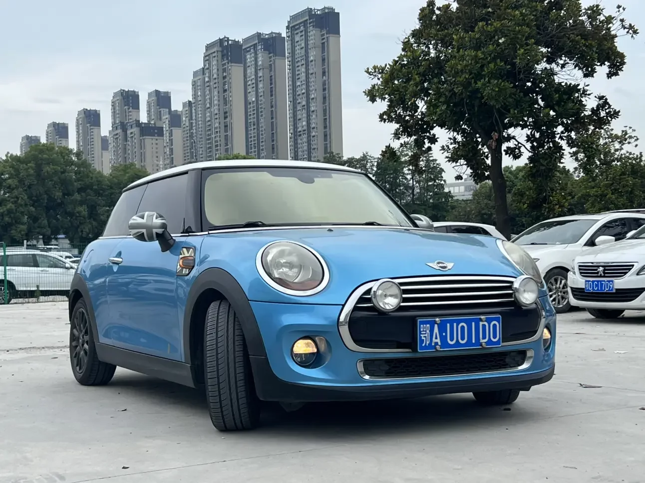 MINI 