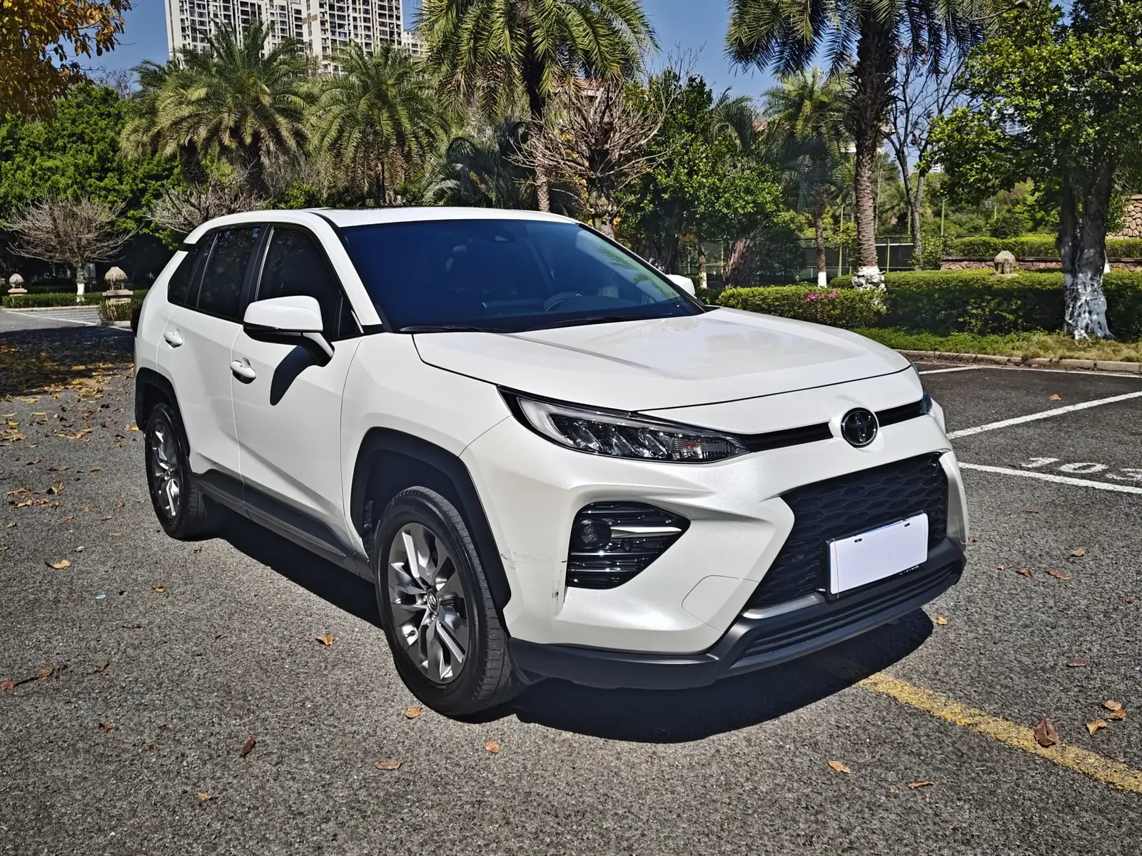 Toyota Willanda