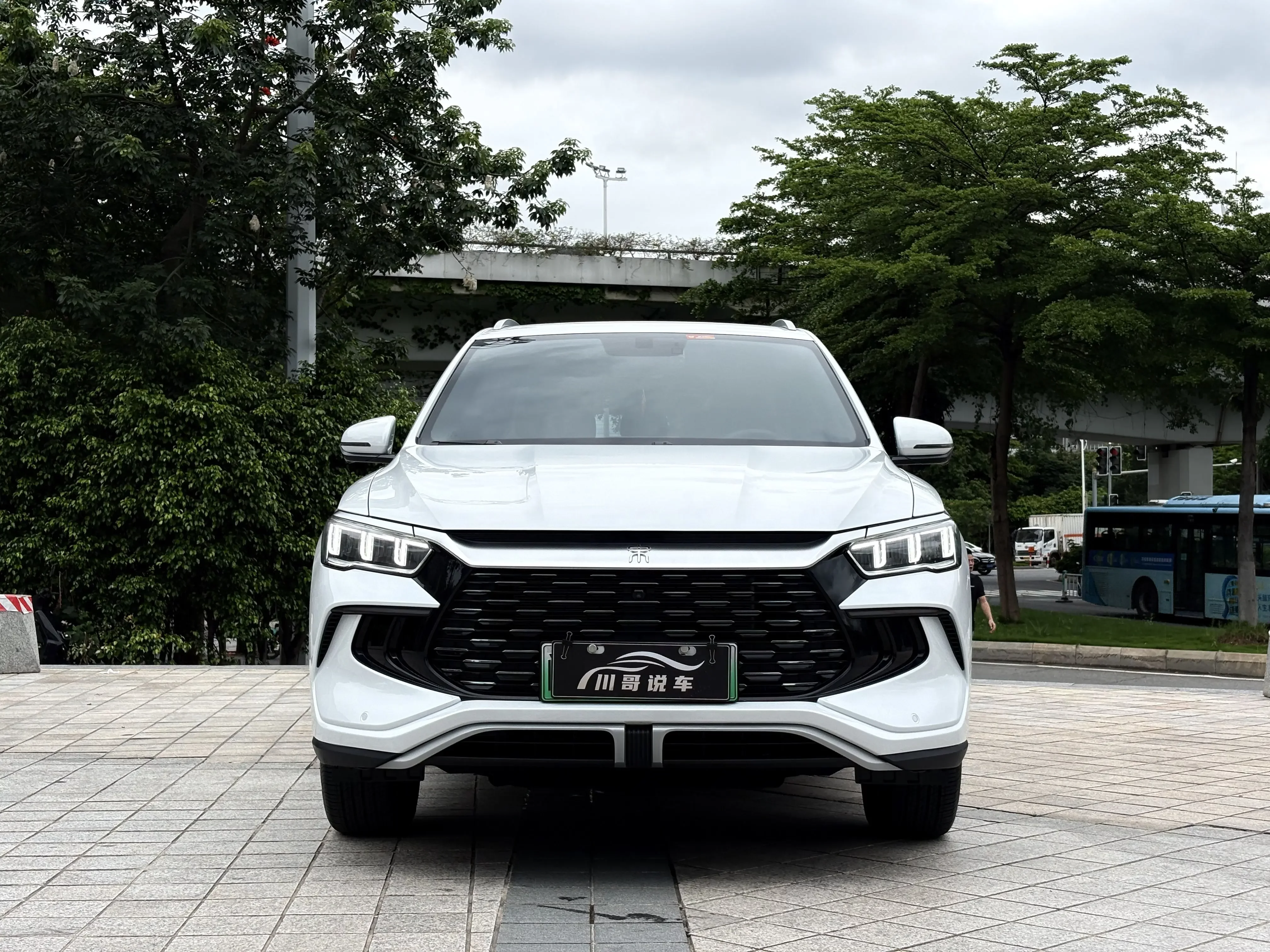 BYD Song Pro DM