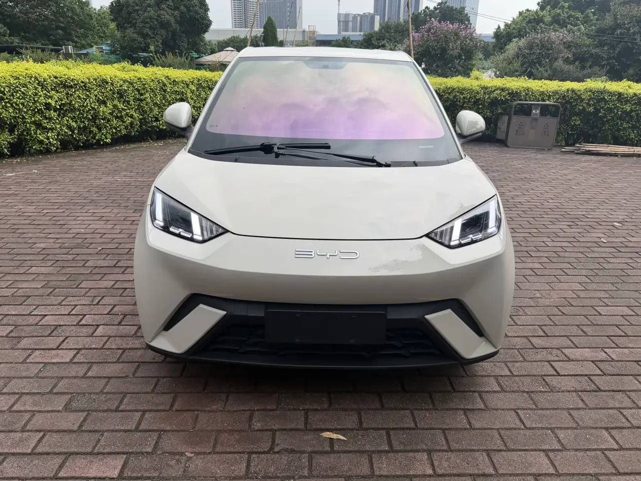 BYD seagull