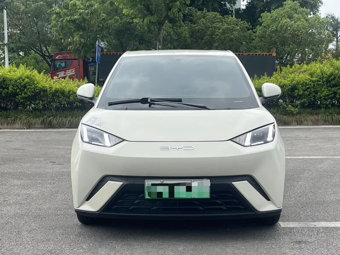 BYD seagull