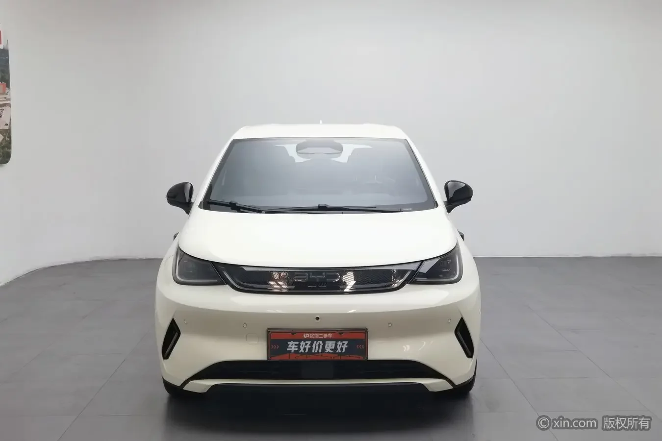 BYD dolphin