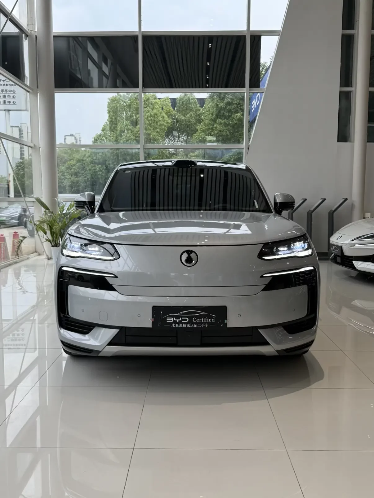 Denza Tengzhong N9 DM