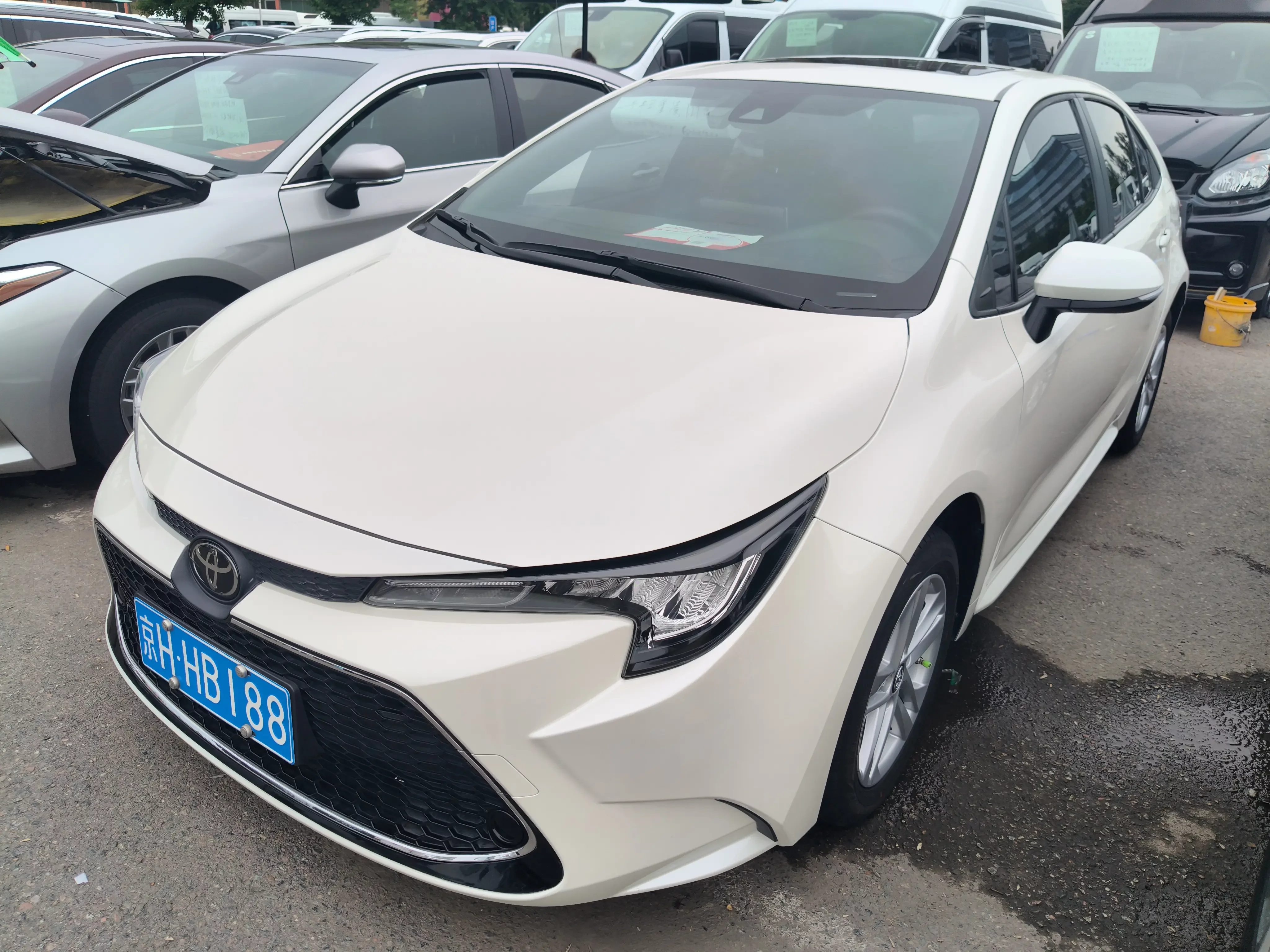 Toyota Levin