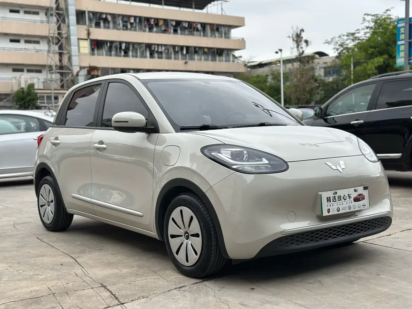 Wuling Bingo