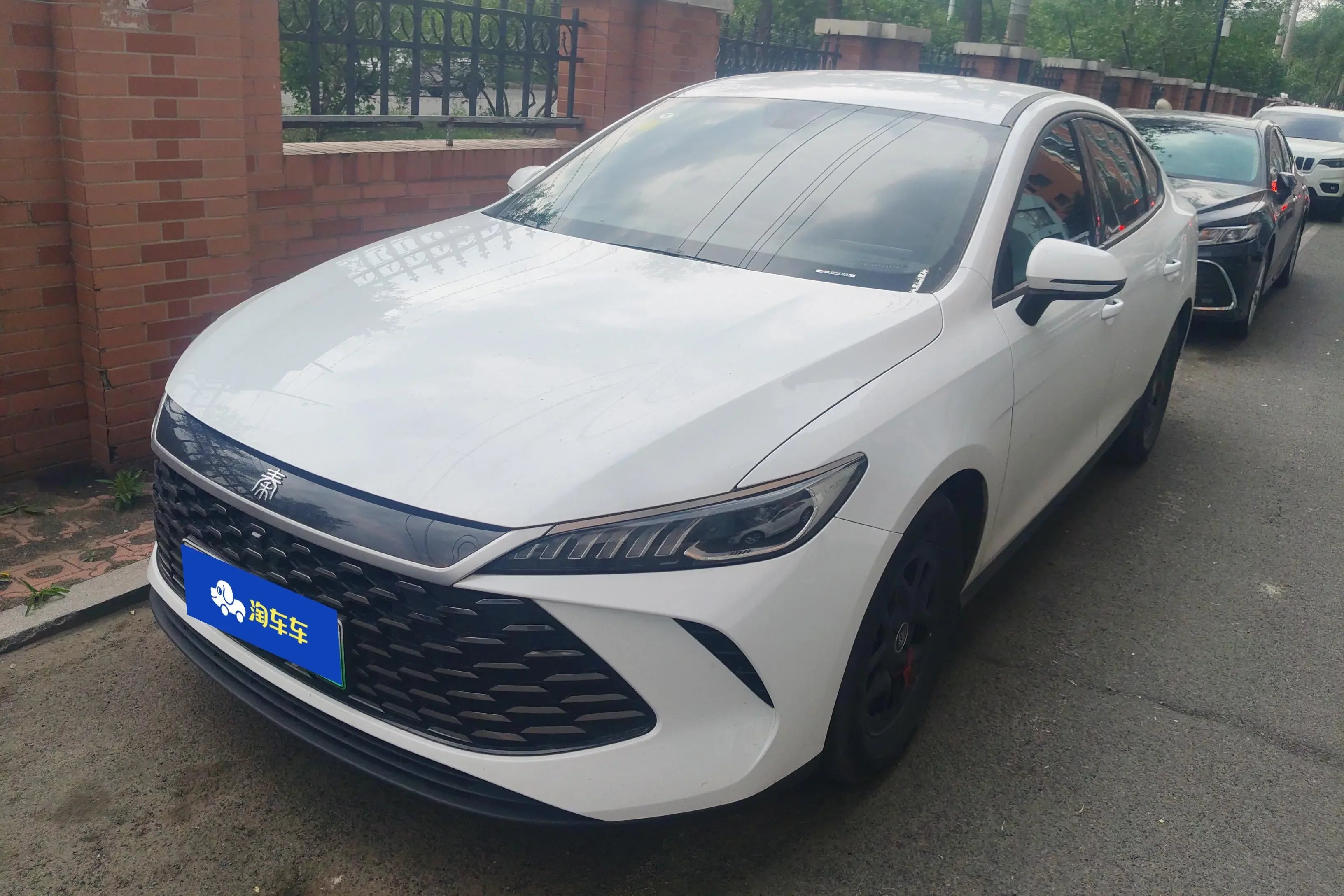 BYD Qin PLUS DM