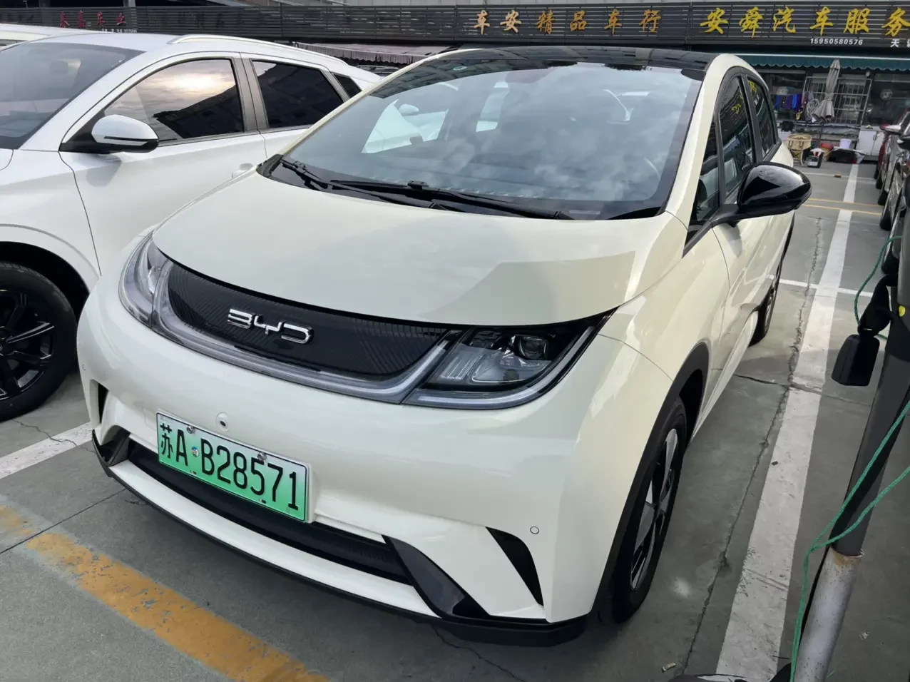 BYD dolphin