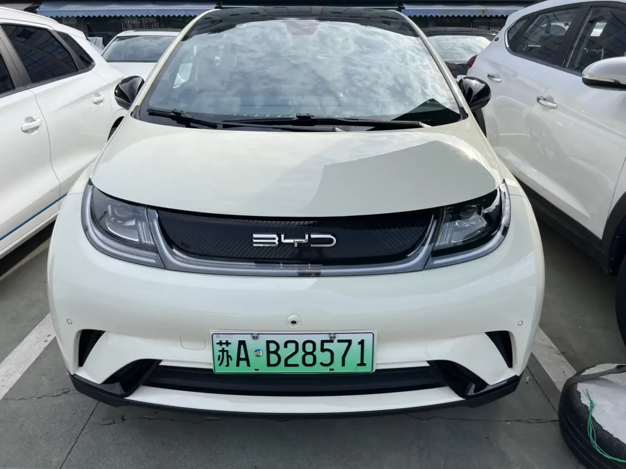 BYD dolphin
