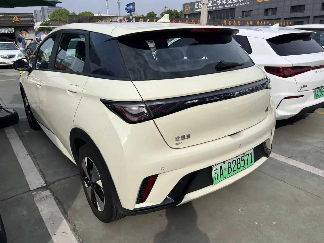BYD dolphin