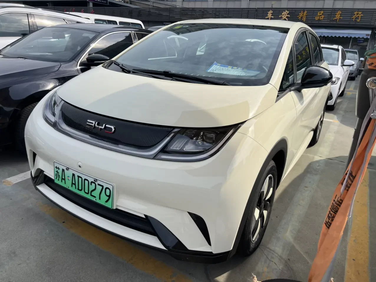 BYD dolphin