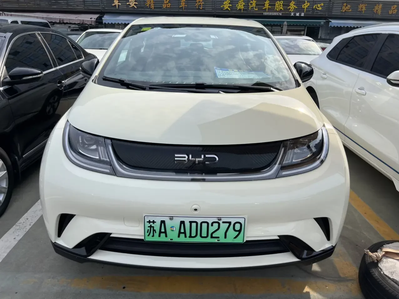 BYD dolphin