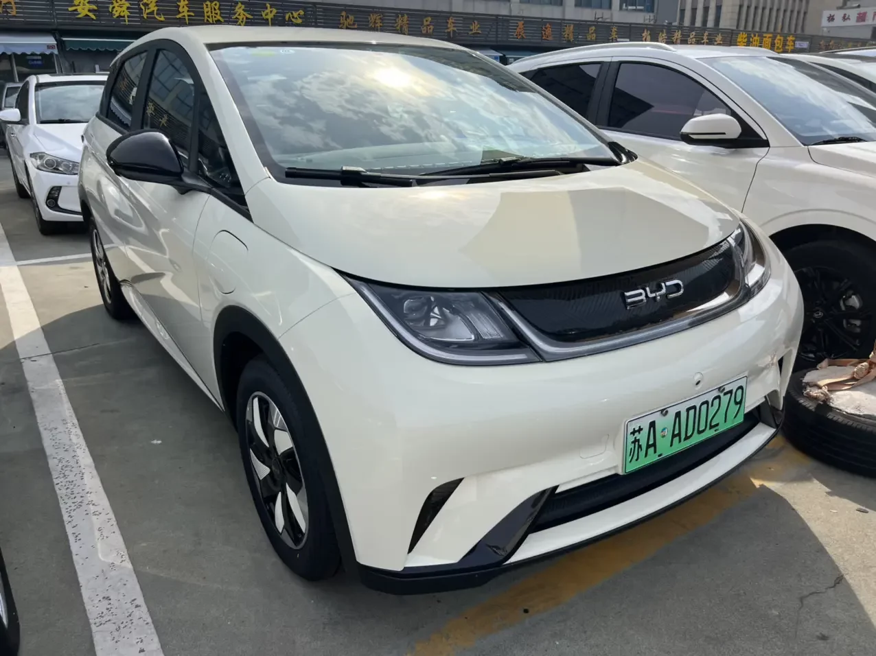 BYD dolphin