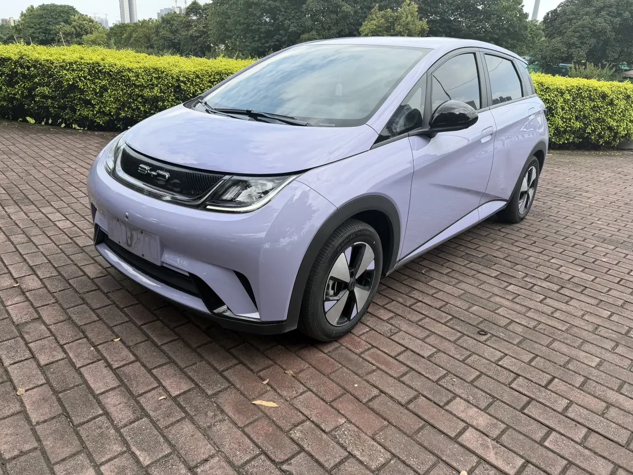 BYD dolphin