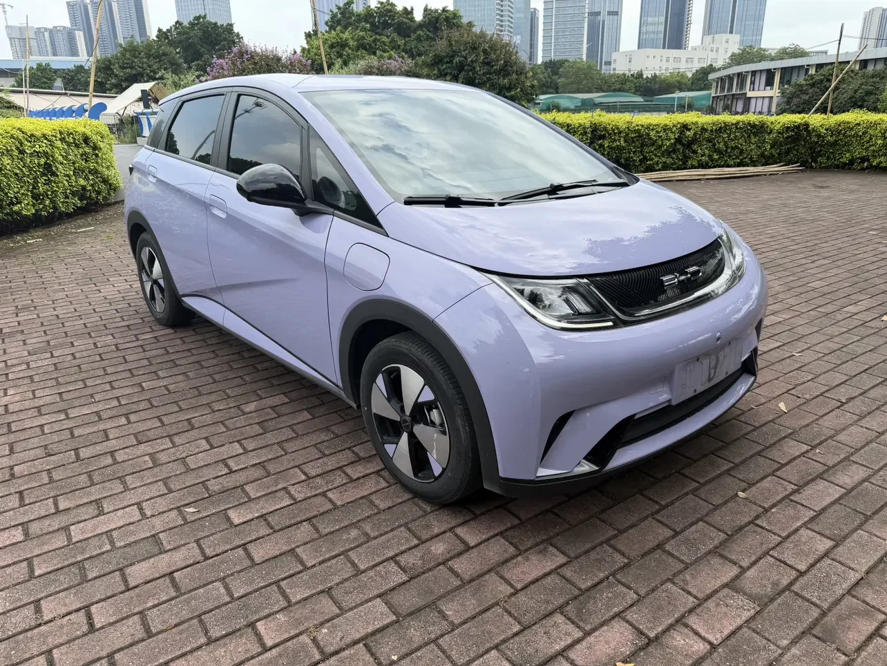 BYD dolphin