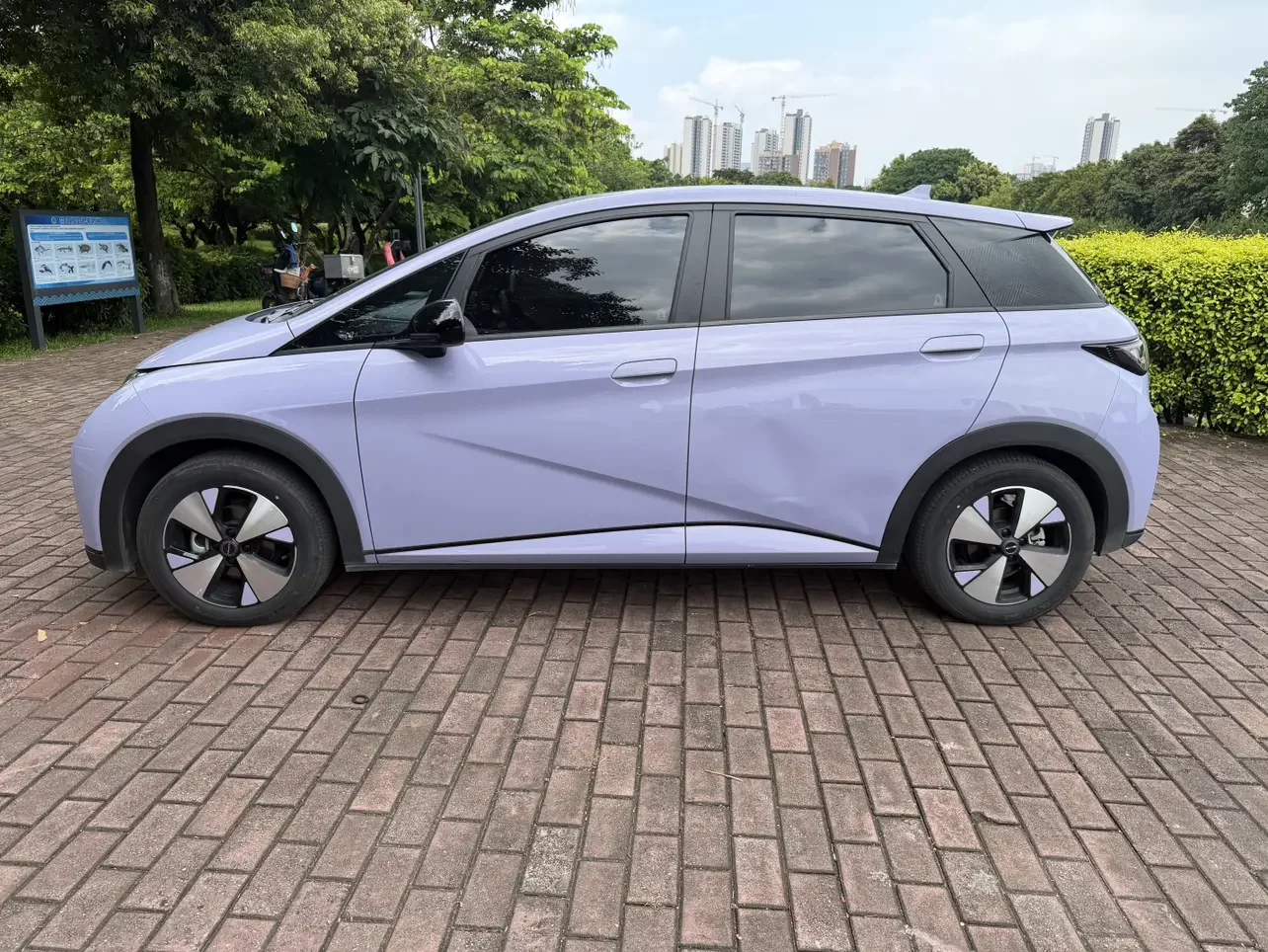 BYD dolphin