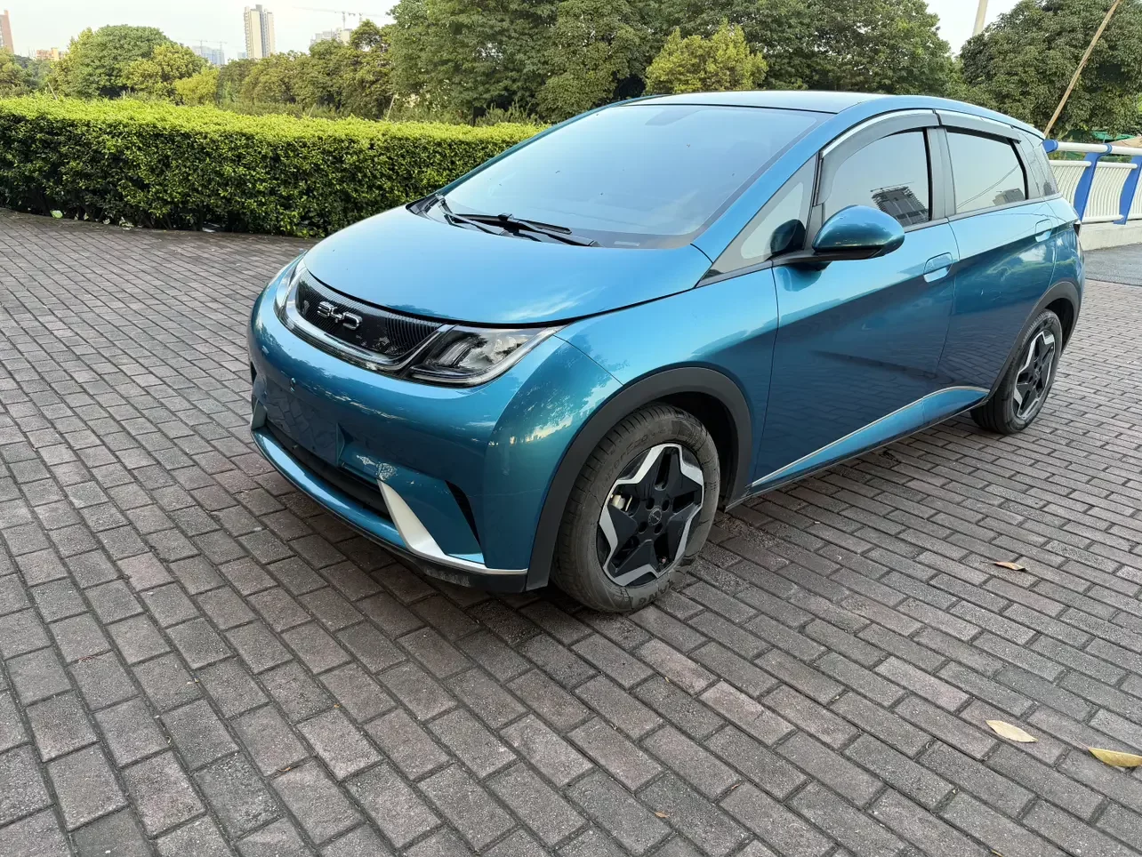 BYD dolphin