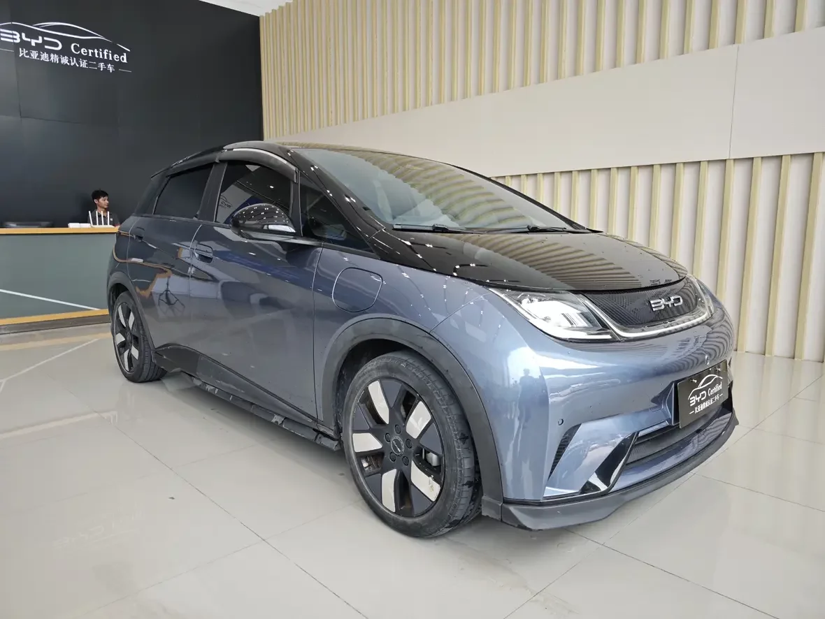 BYD dolphin