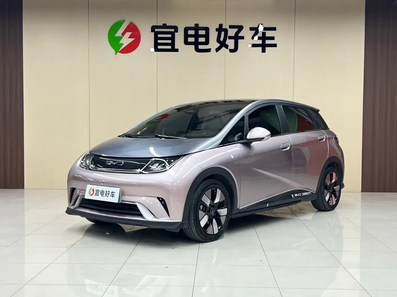 BYD dolphin