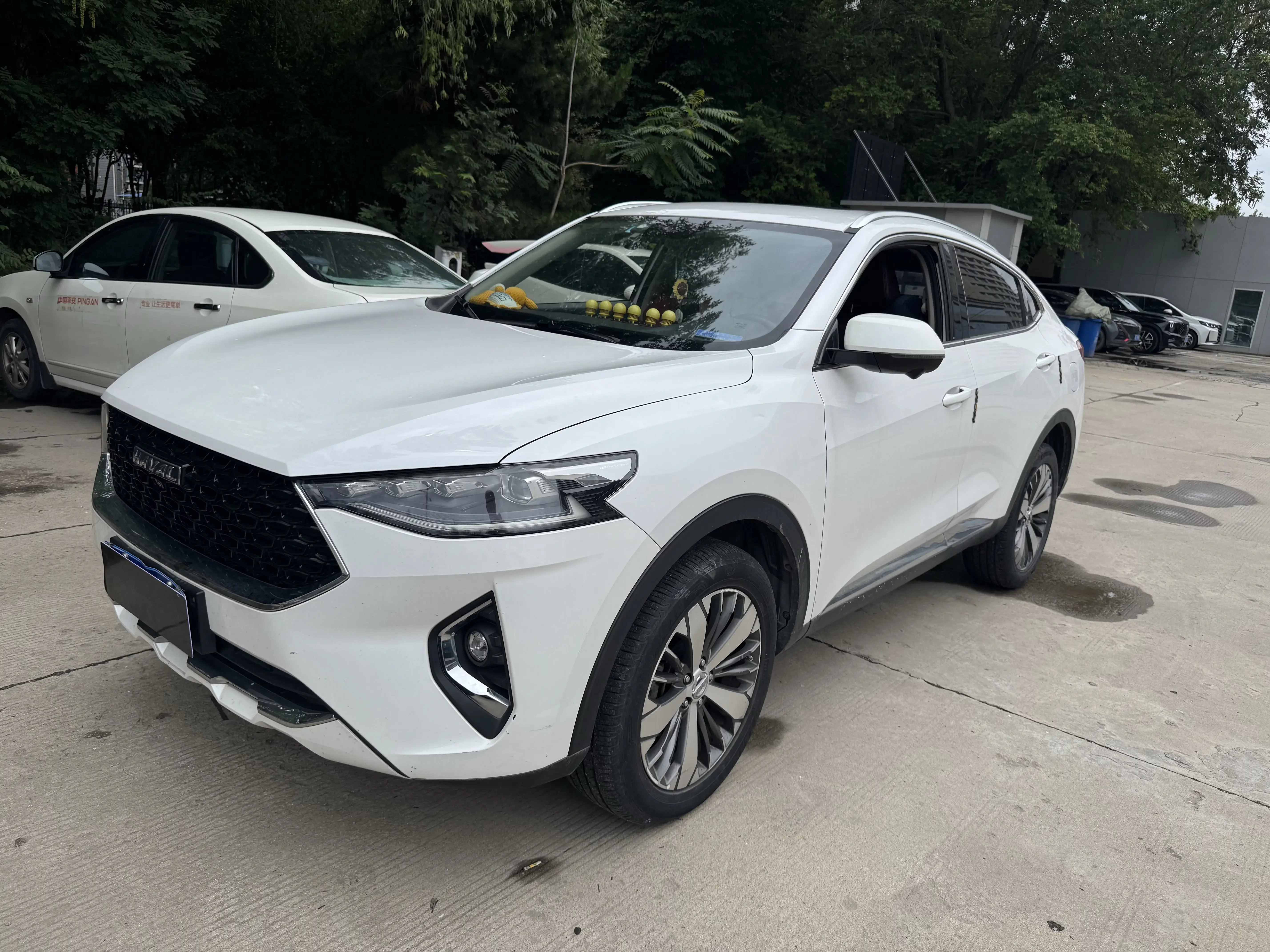 Haval F7x  из Китая