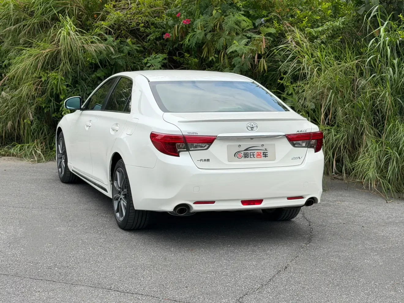Toyota Ruizhi