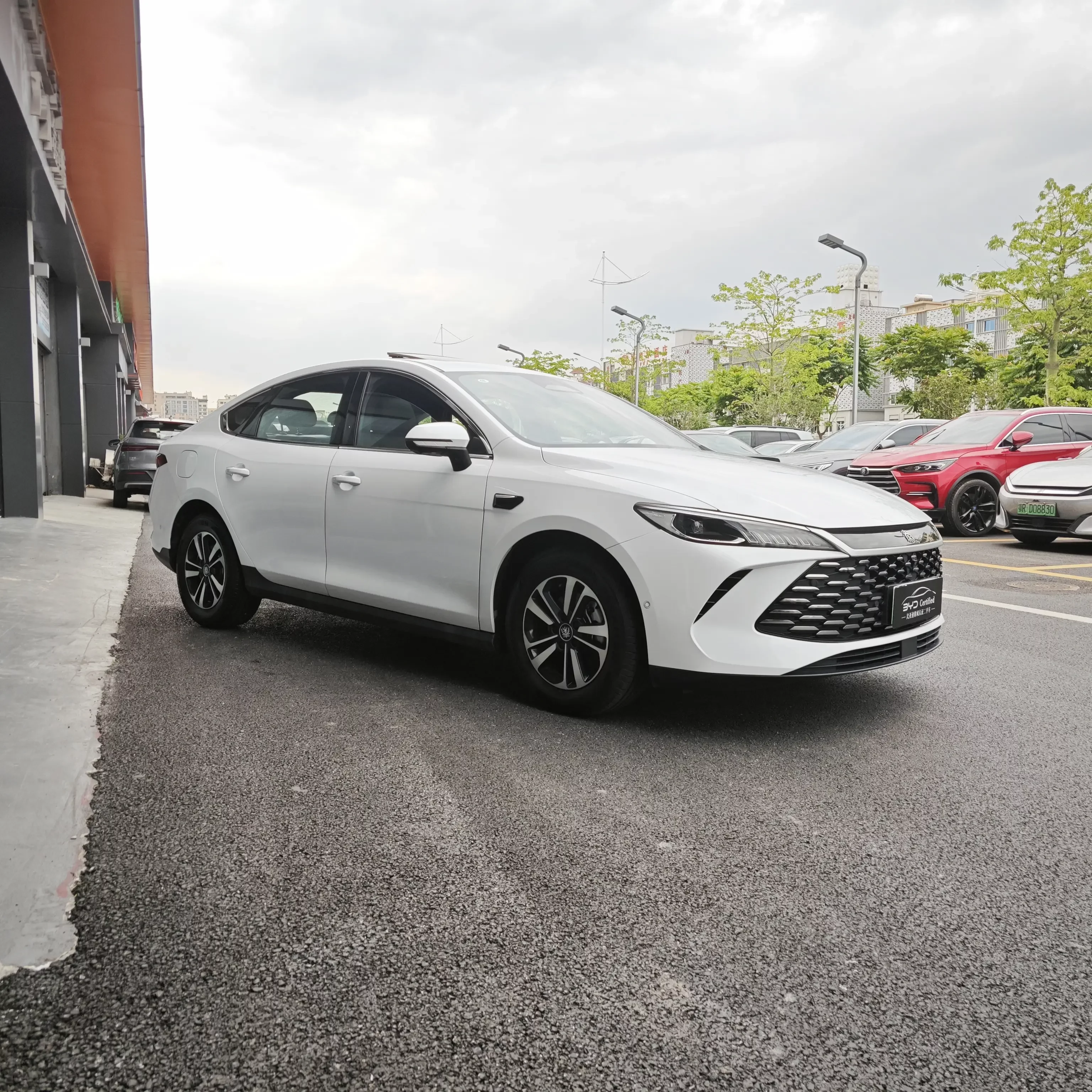 BYD Qin PLUS DM