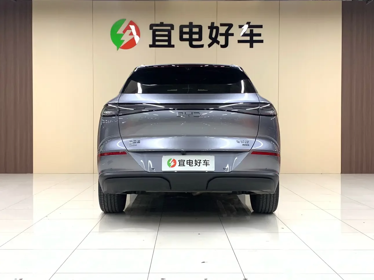 BYD Sea Lion 06DM