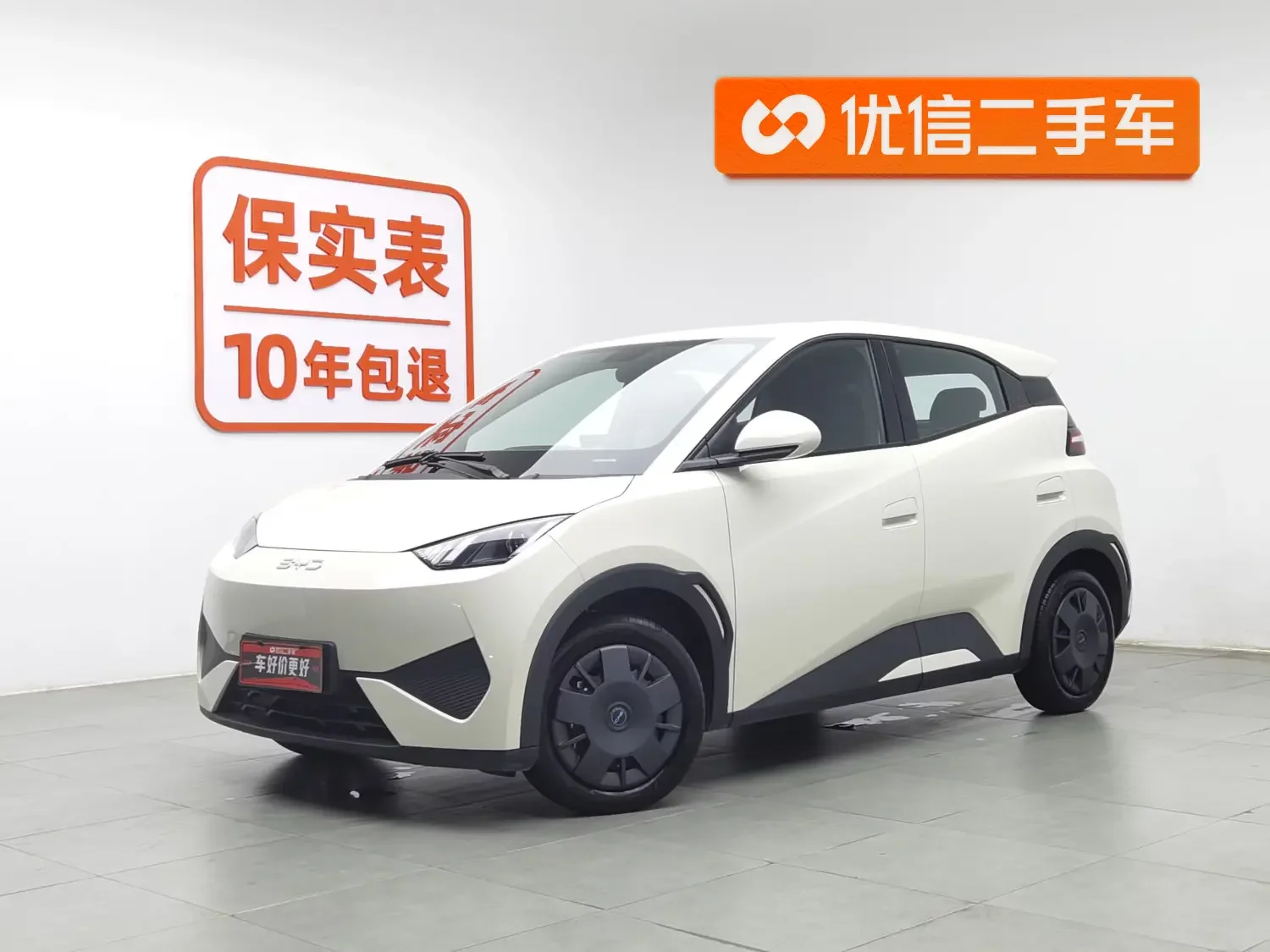 BYD seagull