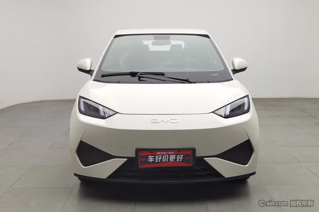 BYD seagull