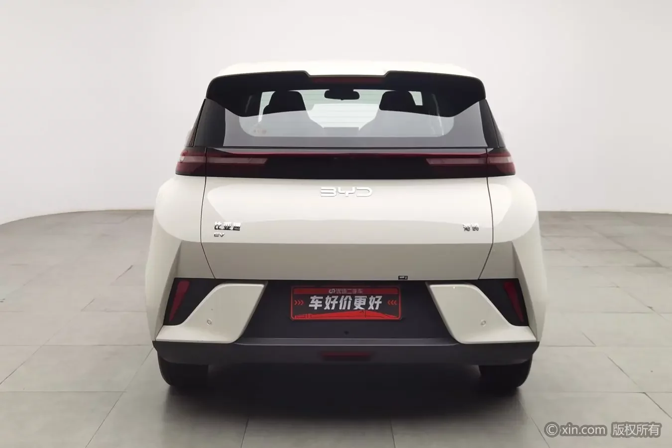 BYD seagull