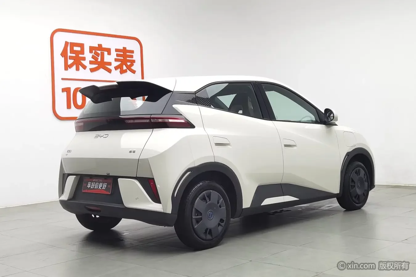 BYD seagull