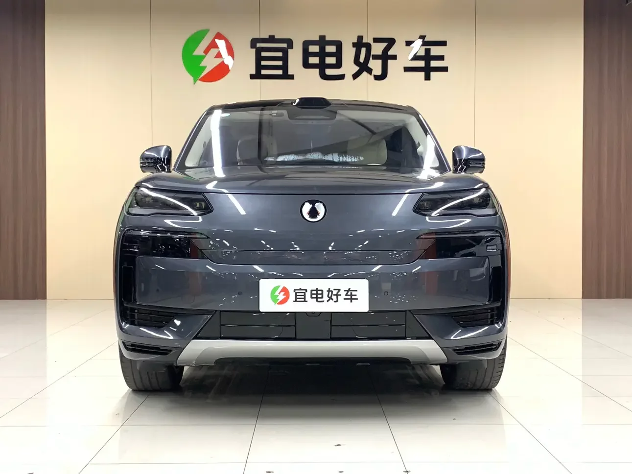 Denza Tengzhong N9 DM