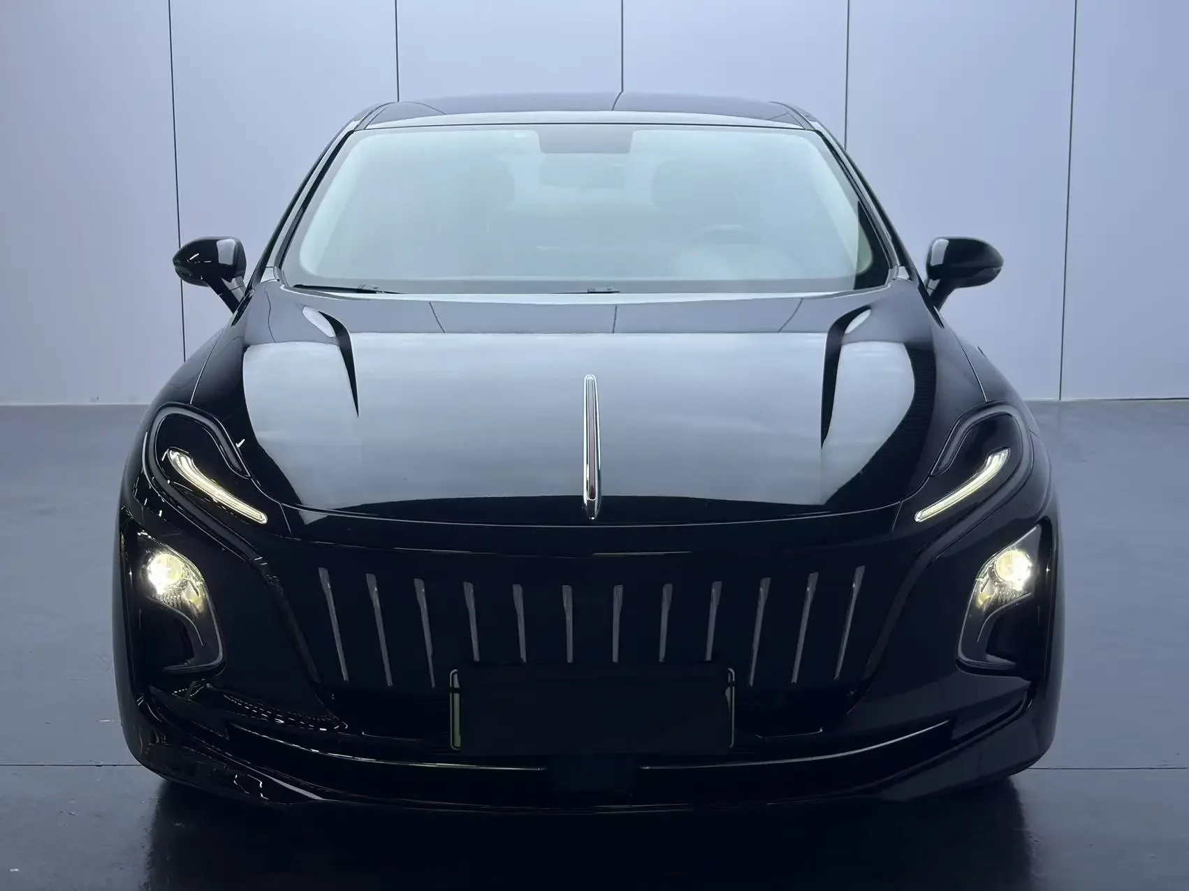 Hongqi E-QM5