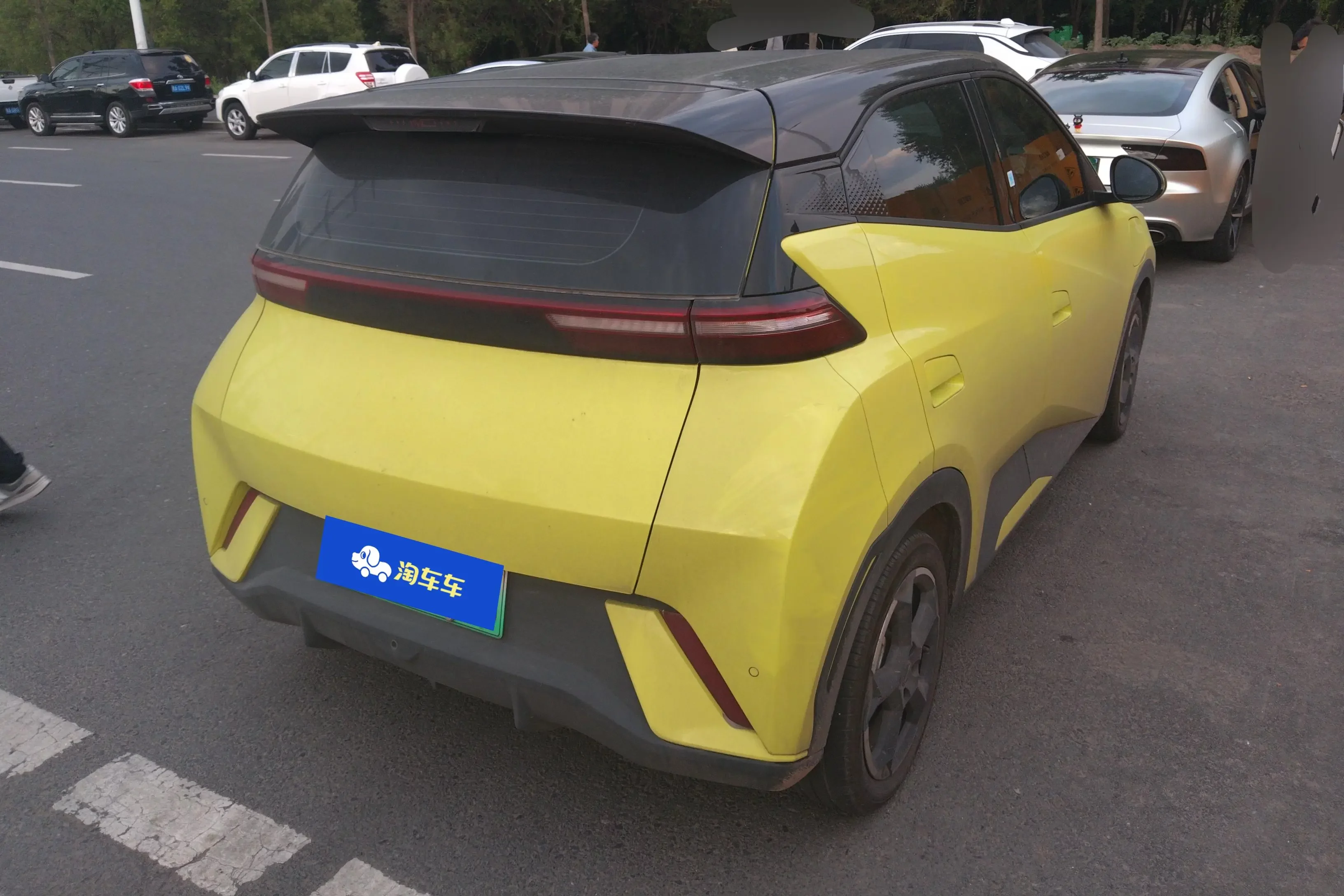 BYD seagull