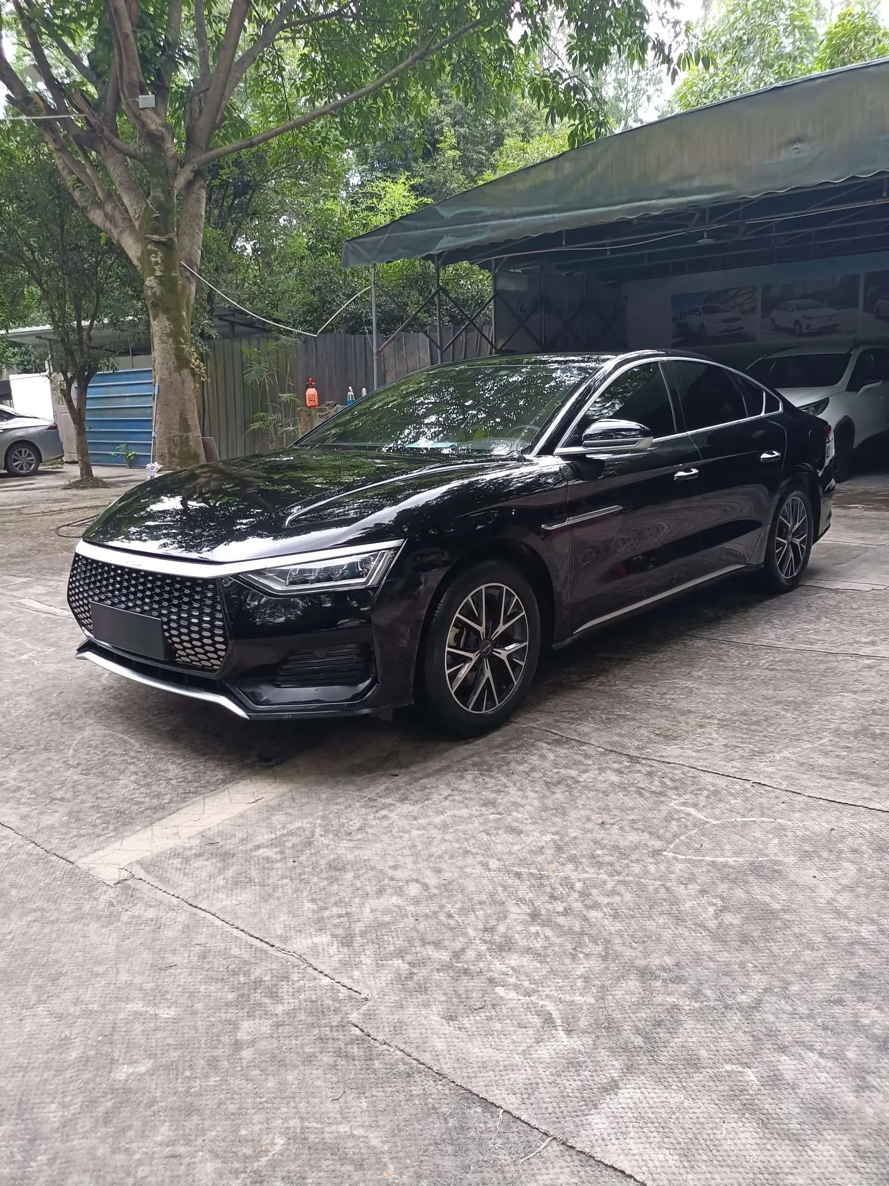 BYD e9