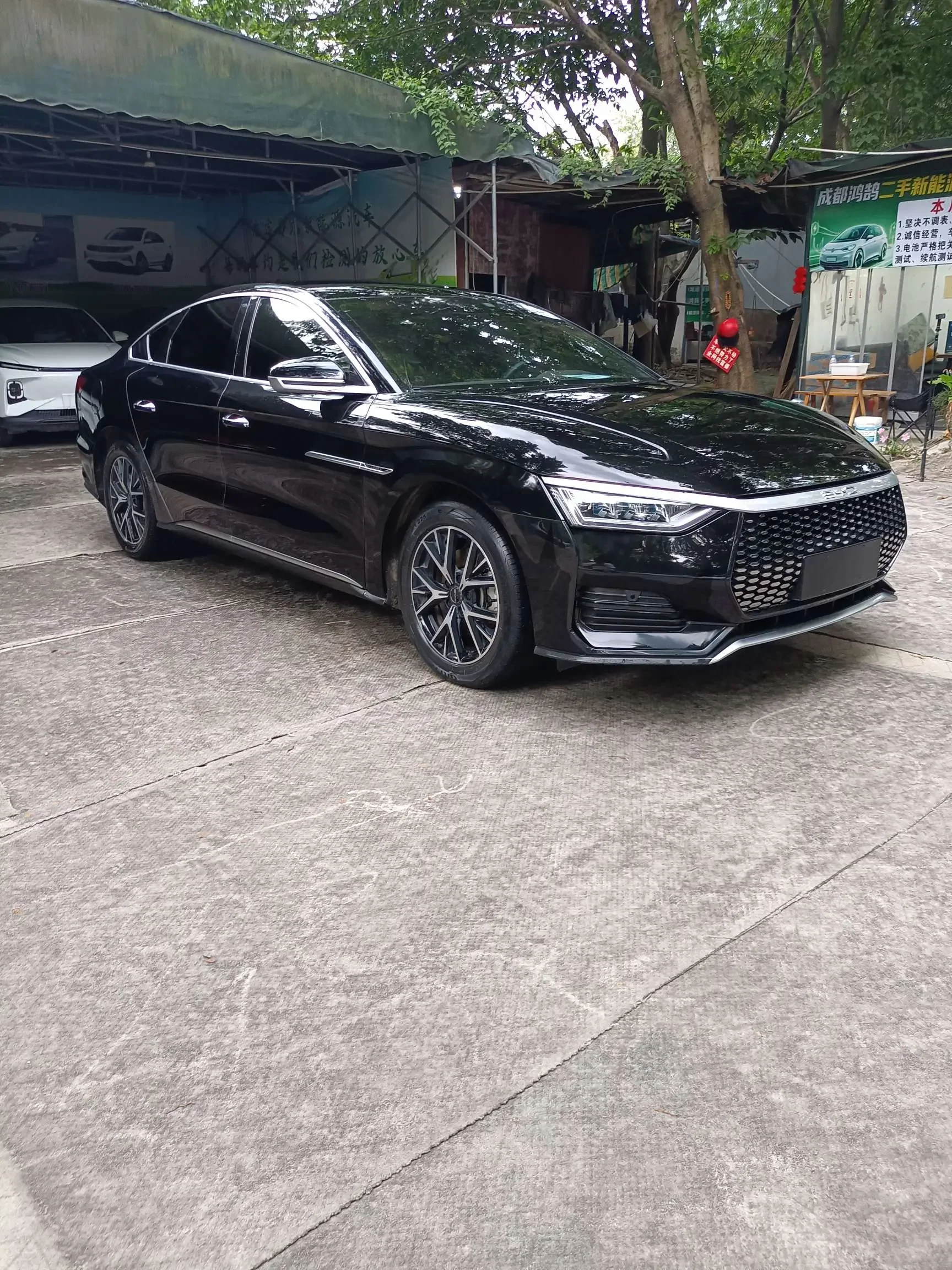 BYD e9